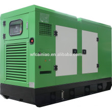 Geräuscharmer 30 kW Ricardo Dieselgenerator